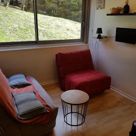 Piste Verte Apartment Besse-et-Saint-Anastaise Bagian luar foto