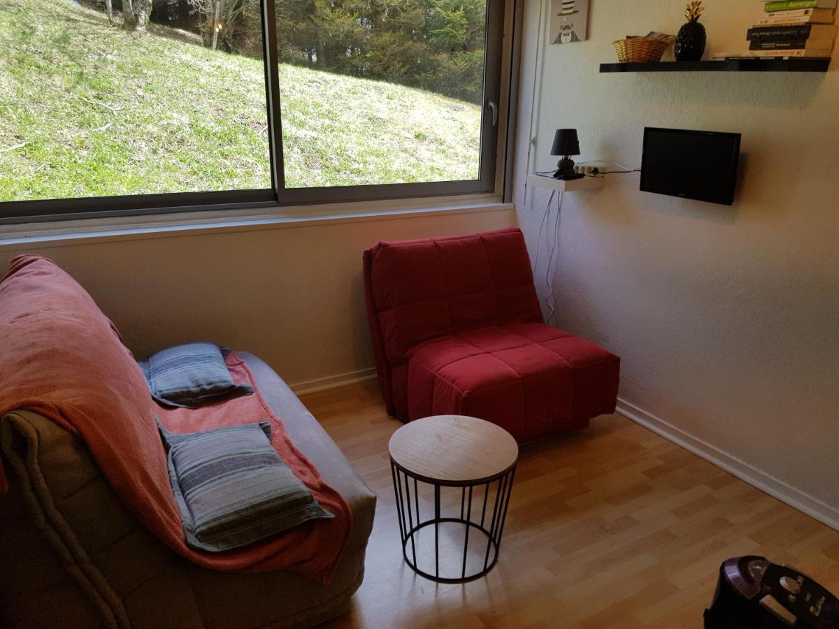 Piste Verte Apartment Besse-et-Saint-Anastaise Bagian luar foto