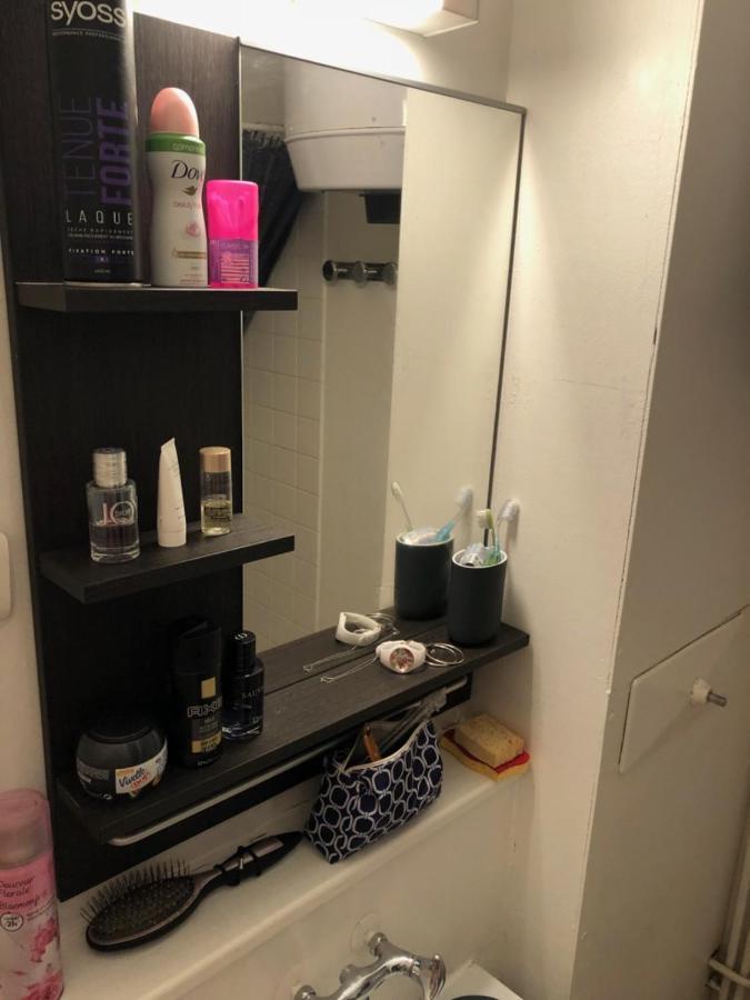 Piste Verte Apartment Besse-et-Saint-Anastaise Bagian luar foto
