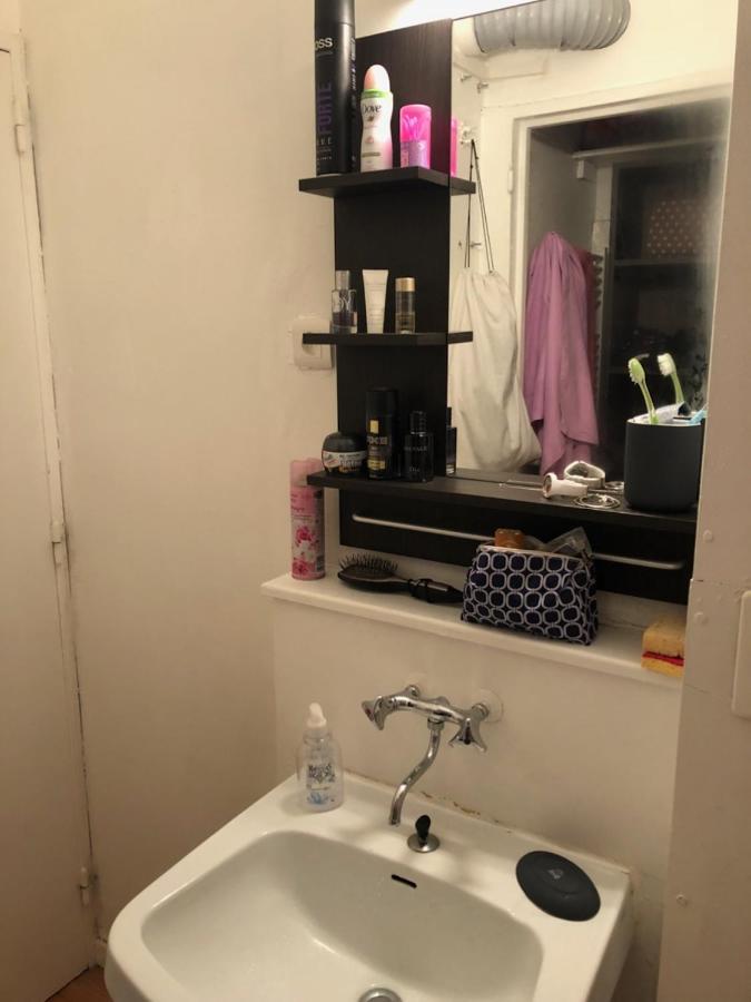 Piste Verte Apartment Besse-et-Saint-Anastaise Bagian luar foto